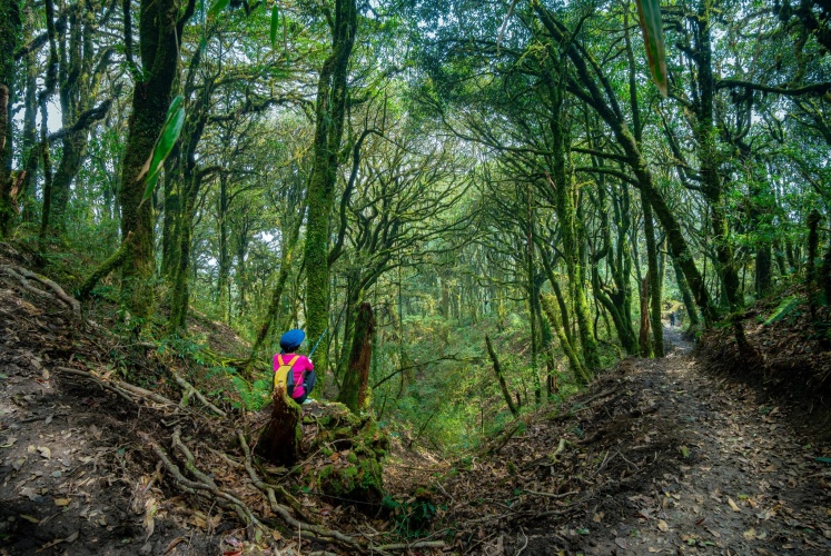 Tây Côn Lĩnh “nóc nhà Đông Bắc” | Ngọn núi bị lãng quên