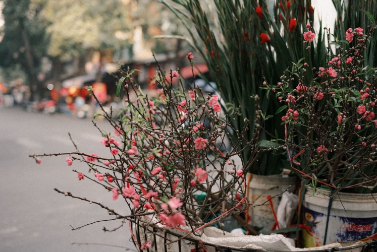 Những ngày cận Tết