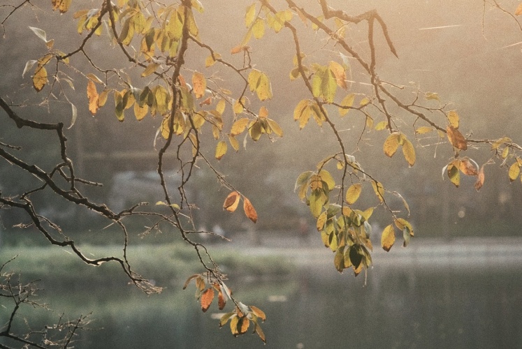 Hà Nội những ngày chớm đầu đông!
