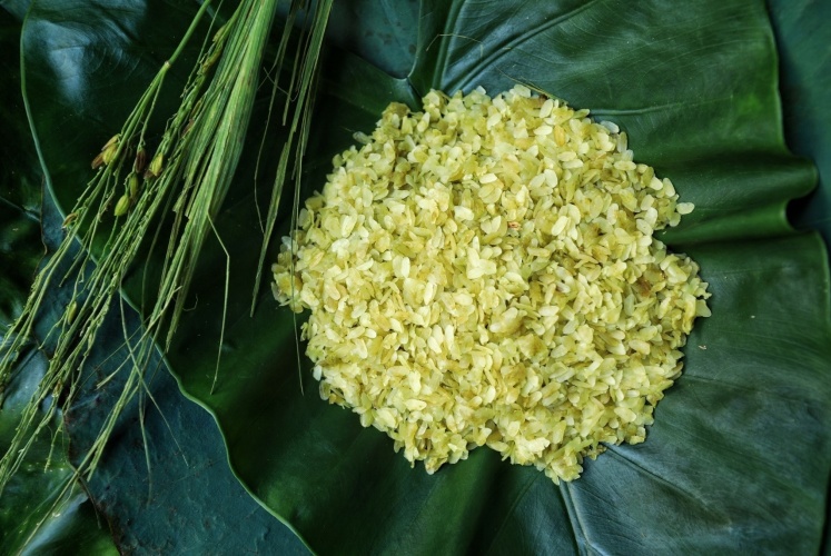 Mùa thu Hà Nội với hoa sữa, lá vàng rơi và… cốm