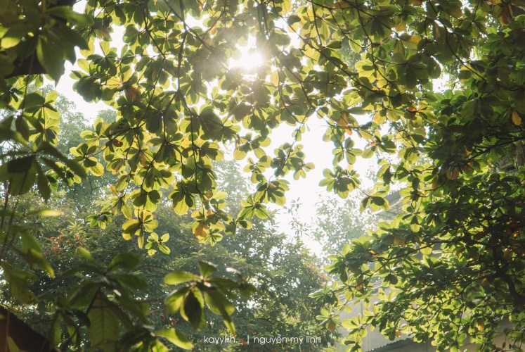 Một Hà Nội dịu dàng....