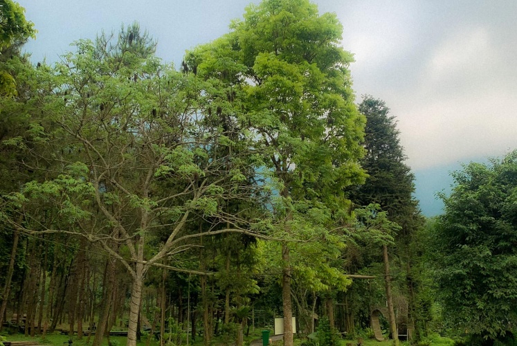 Chẳng cần đi đâu xa, cuối tuần cực chill với Khu Du lịch Thiên Sơn Suối Ngà