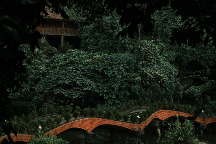 Phát hiện một nơi “chữa lành tâm hồn” cực chill rất gần Hà Nội