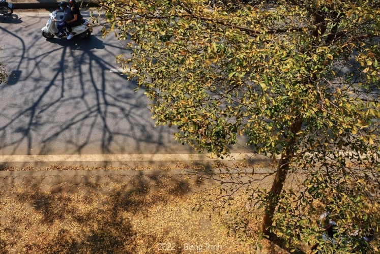 Check-in mùa thu Châu Âu giữa lòng Hà Nội