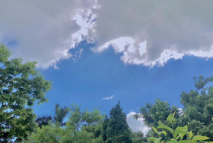 Điểm check-in mới dành cho các nàng đây!