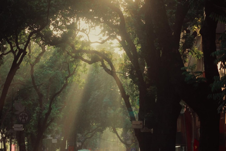 Thời tiết chiều lòng người - Thu Hà Nội.