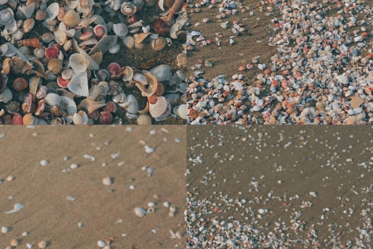 Nghi Xuân (Hà Tĩnh) | Quê mình ở biển