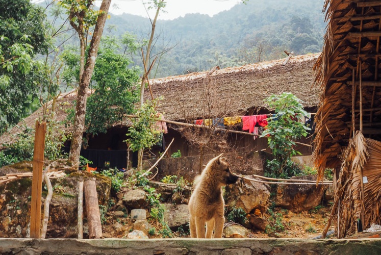 Bản Sưng | Chốn hẹn hò lặng thinh cho người hướng ngoại