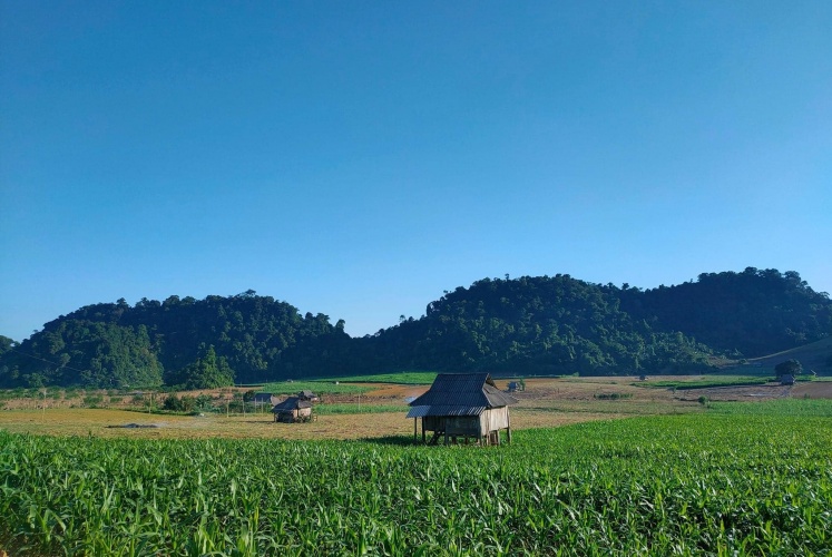 Trải nghiệm đi chill băng rừng Ngổ Luông - chốn thâm sơn cùng cốc Hòa Bình 