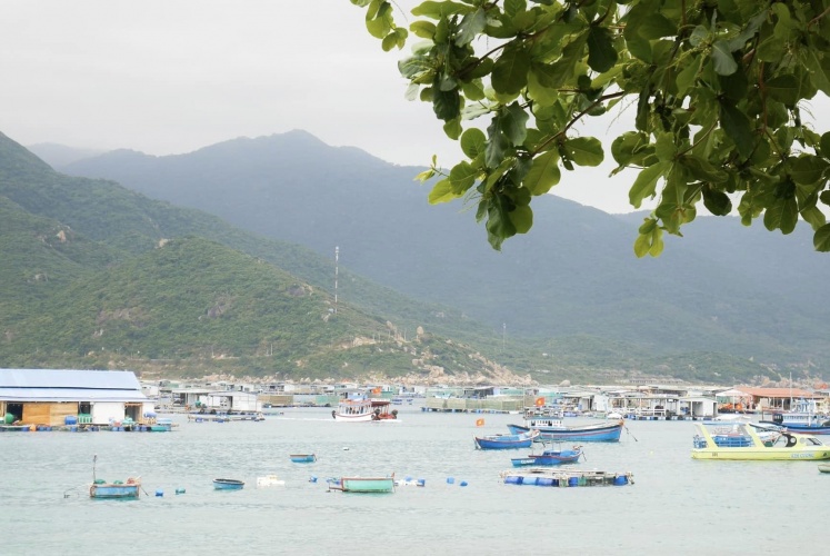 Hè chưa đến nhưng hồn mình đã ở lại Bình Hưng