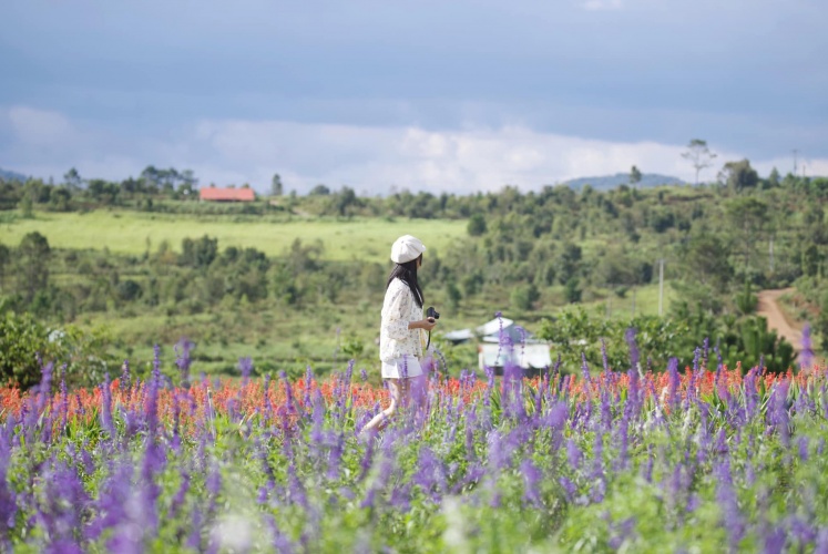 Nếu như được chọn 1 vùng đất ...