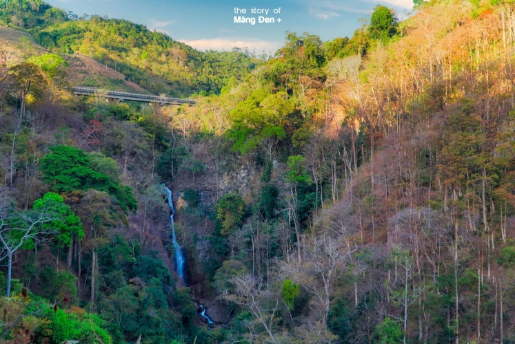 Check-in Đèo Măng Đen | Mùa cây thay lá