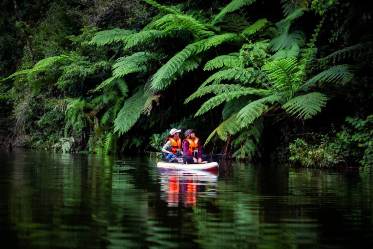 MĂNG ĐEN & TẤT TẦN TẬT NHỮNG ĐIỀU CHƯA AI NÓI VỚI BẠN