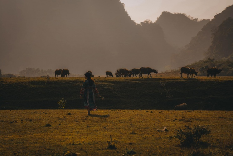 Thảo nguyên Đồng Lâm - Hữu Liên - Hữu Lũng - Lạng Sơn