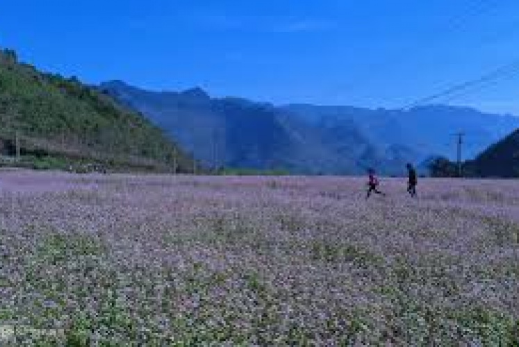 Kin Chu Phìn - Xứ sở của những ngôi nhà nấm nơi rẻo cao