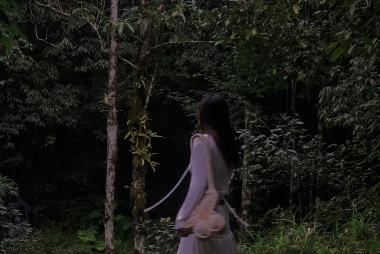 Vườn quốc gia Hoàng Liên