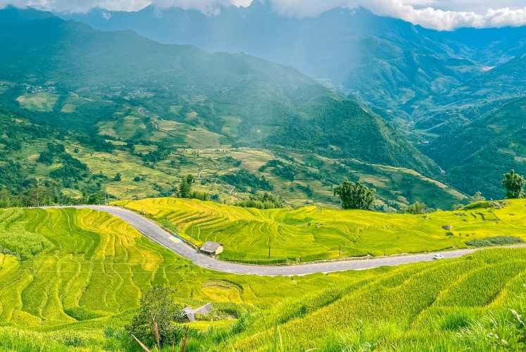 Y Tý - Ngắm “mùa vàng” trên những thửa ruộng bậc thang 