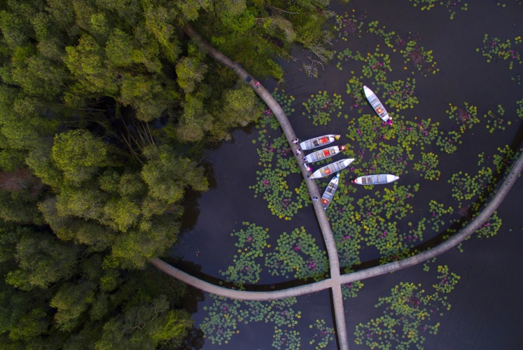 Làng nổi Tân Lập | Con đường cực xinh cho team mê sống ảo