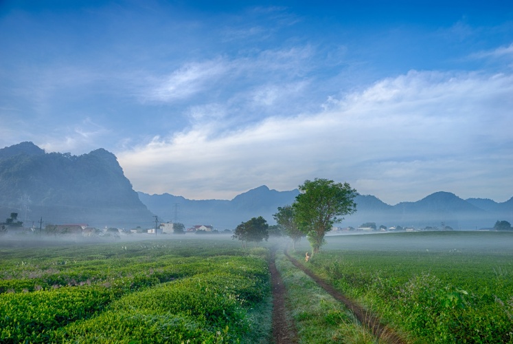 Lên Mộc Châu 3 ngày mới hiểu được ý nghĩa của từ “healing”