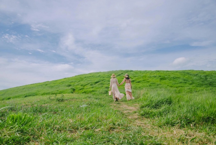 Check-in Đồng cỏ “Windows” gây sốt ở Mộc Châu