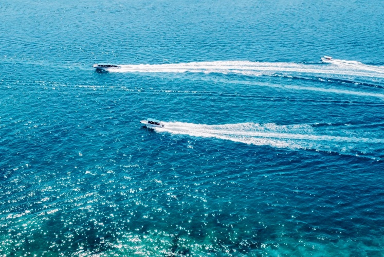 Lang thang ở Nha Trang