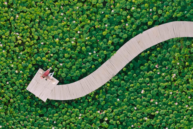 Thử thách về Ninh Bình chụp ảnh hoa sen mặc kệ nắng nóng 40° - GÉT GÔ! 