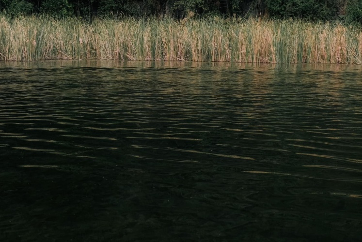 Bái Đính - Tràng An