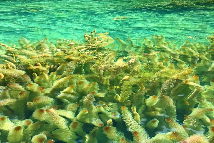 Khi mùa thu gõ cửa bến Tràng An!