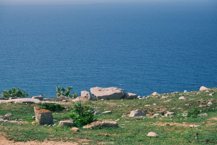 Đường ven biển Ninh Thuận