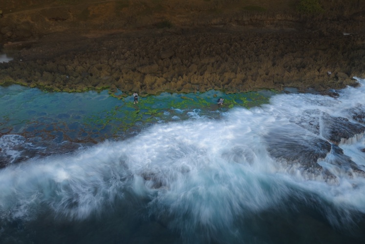 Check-in mùa rêu Hòn Đỏ - Ninh Thuận