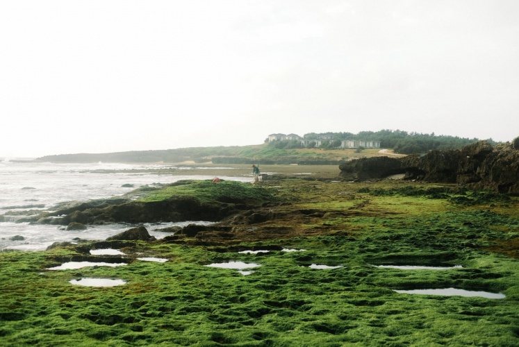 Mùa rêu | Hòn Đỏ, thôn Mỹ Hiệp, tỉnh Ninh Thuận