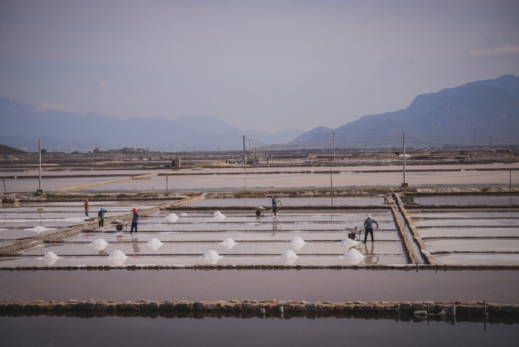 Mặt trời gọi muối.