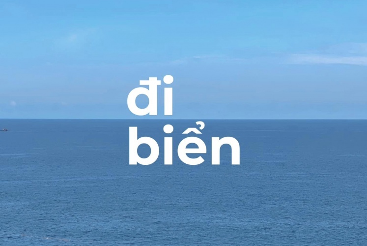 Mùa hè là mùa đi biển!