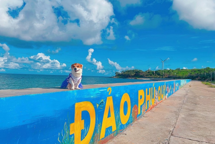 Phú Quý gọi tên | Lên kèo ngay nào!