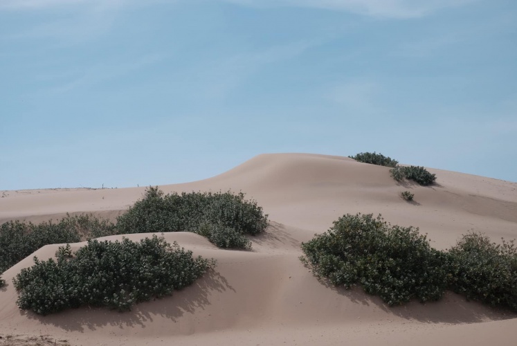 Phú Yên và những ngày lang thang