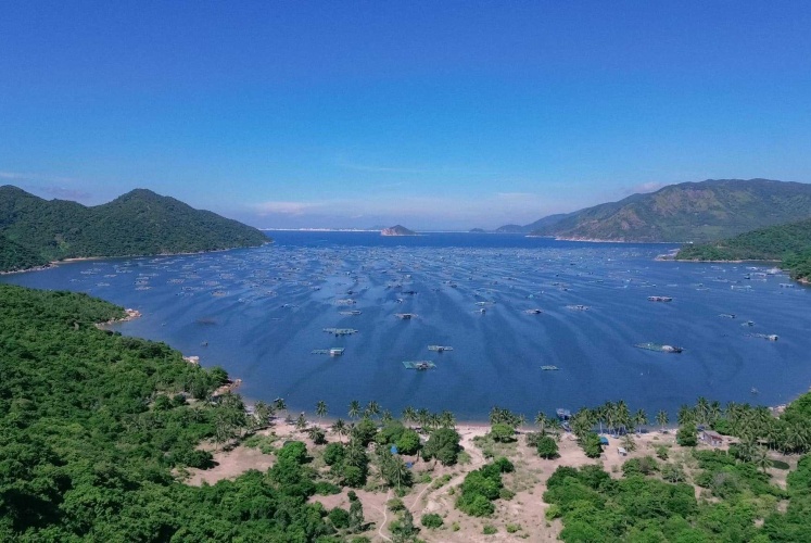 Mê mẩn mùa hè Phú Yên