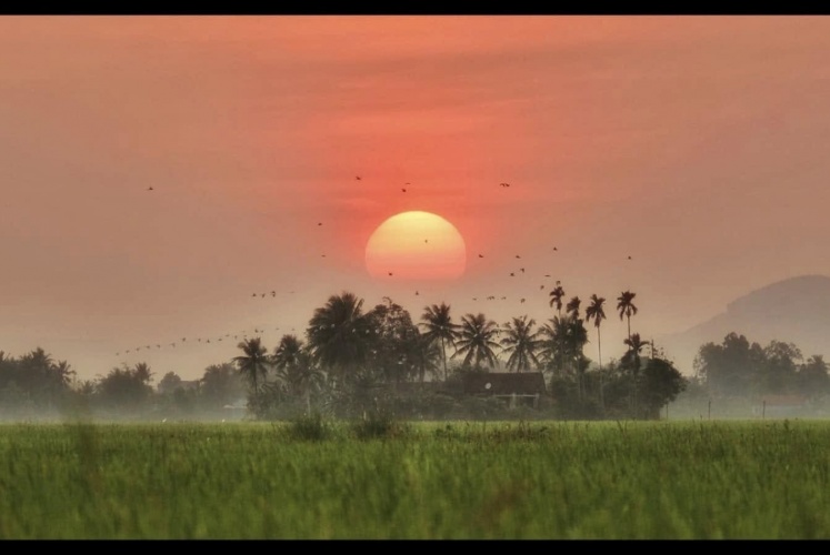 Phú Yên và những khung ảnh ở miền quê yên bình. 