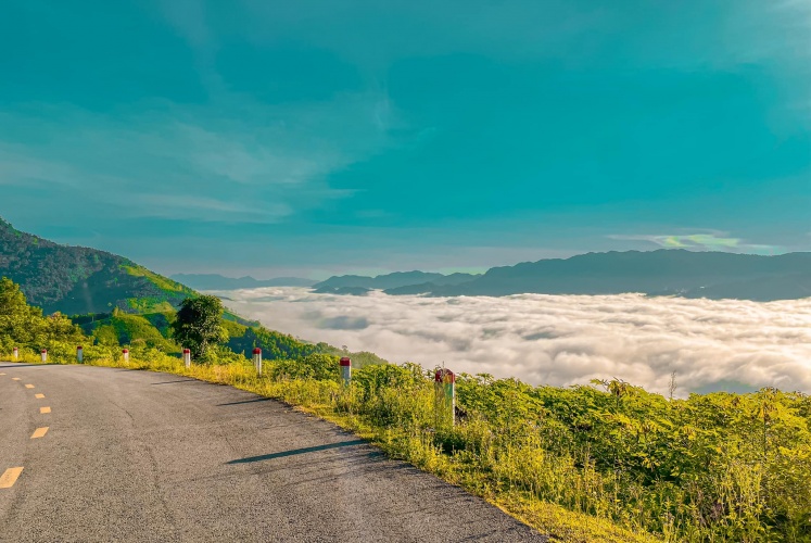 Cung đường “chiêm ngưỡng” biển mây Đèo Violak
