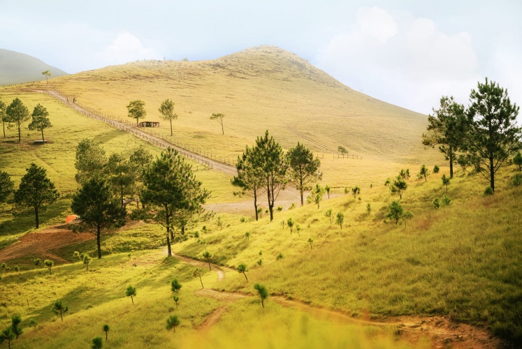 Đồi Phượng Hoàng - TP. Uông Bí (Quảng Ninh) 