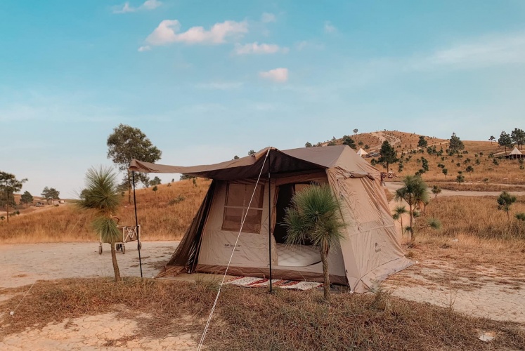 Phượng Hoàng thì vẫn đẹp như vậy!