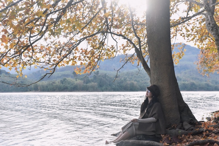 Cứ ngỡ là Hàn Quốc, Nhật Bản