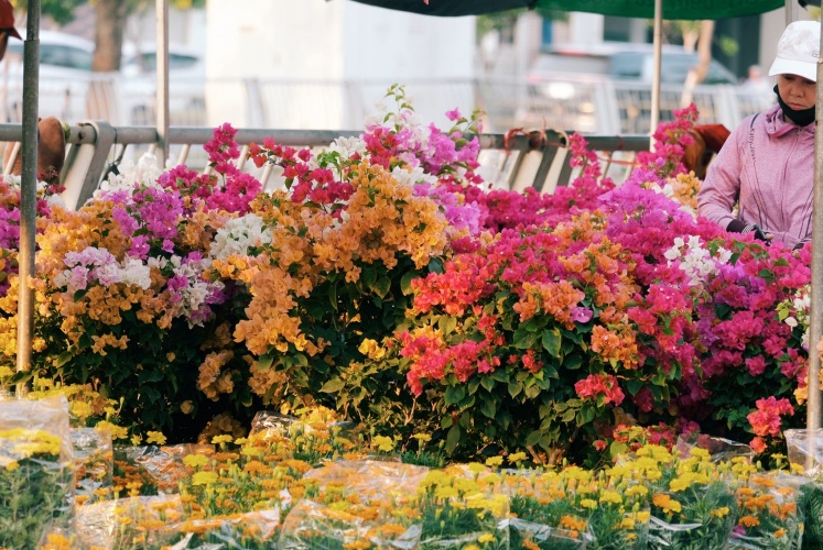 Hoàng hôn trên chợ hoa Bến Bình Đông (Sài Gòn)