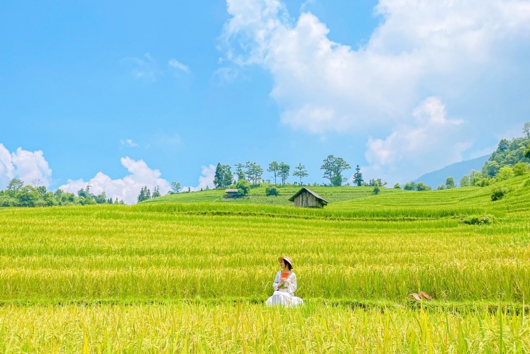 Nậm Cang - Thương nhớ một mùa lúa chín