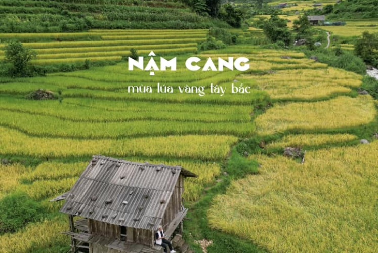 Nơi săn lúa vàng sớm nhất tại Tây Bắc