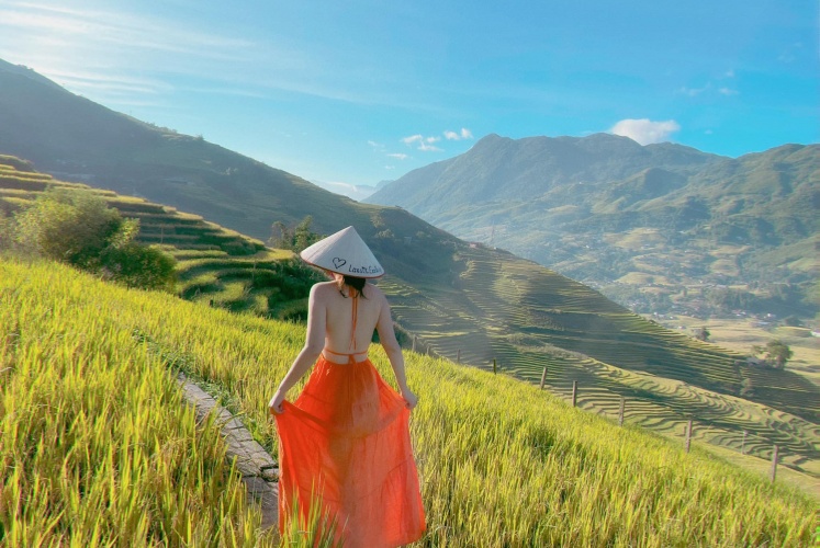 Cập nhật tình hình lúa Sapa - Lao Chải - Tả Van 