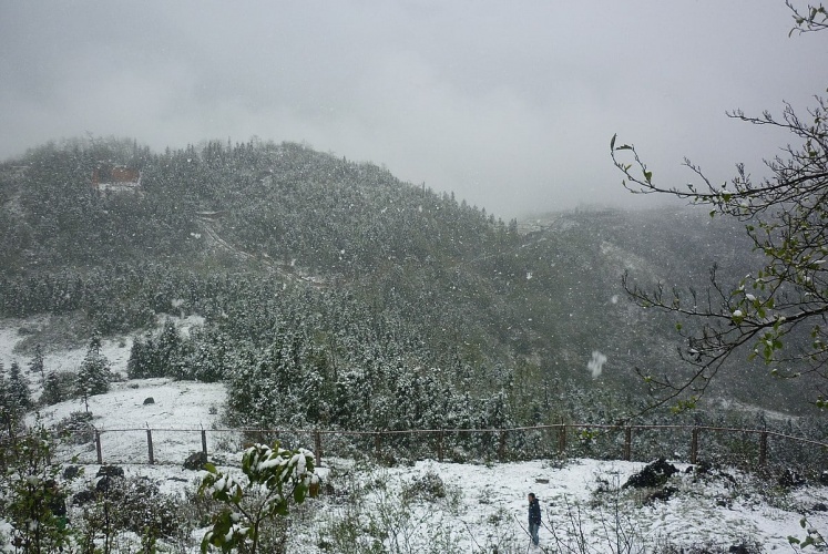 Đến Sapa ngắm thiên đường tuyết rơi