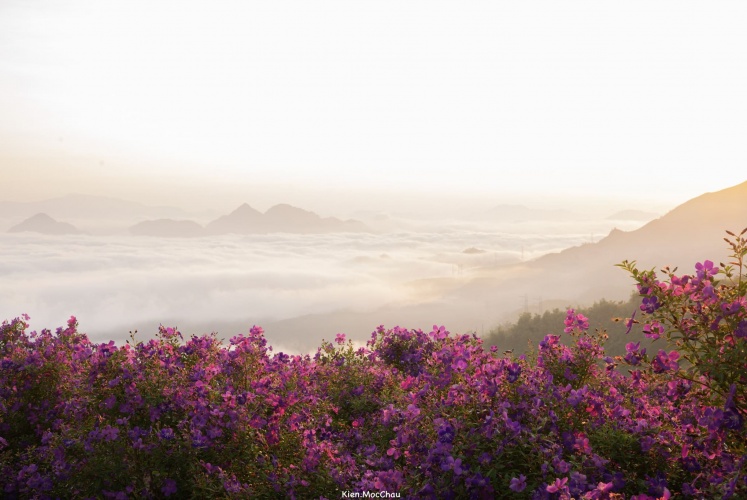 Săn mây tại Đồi Sim, Suối Bon, Vân Hồ