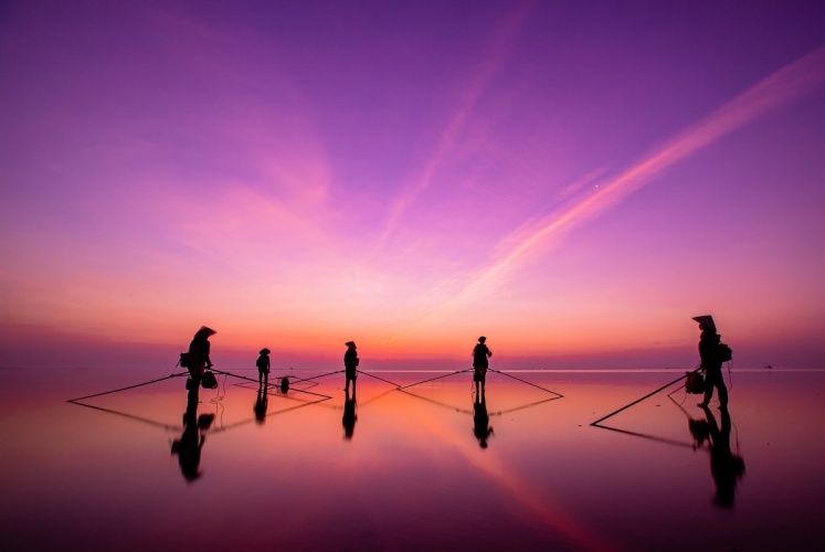 Biển “không chân trời” tại Thái Bình