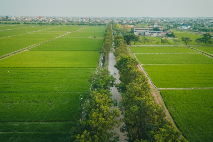 Check in con đường làng đẹp nhất Thái Bình