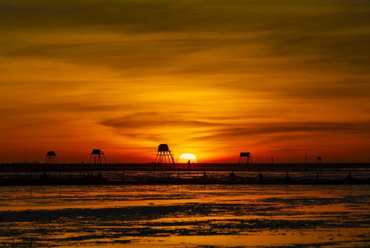 Đồng Châu - Thái Bình vào mùa đón bình minh